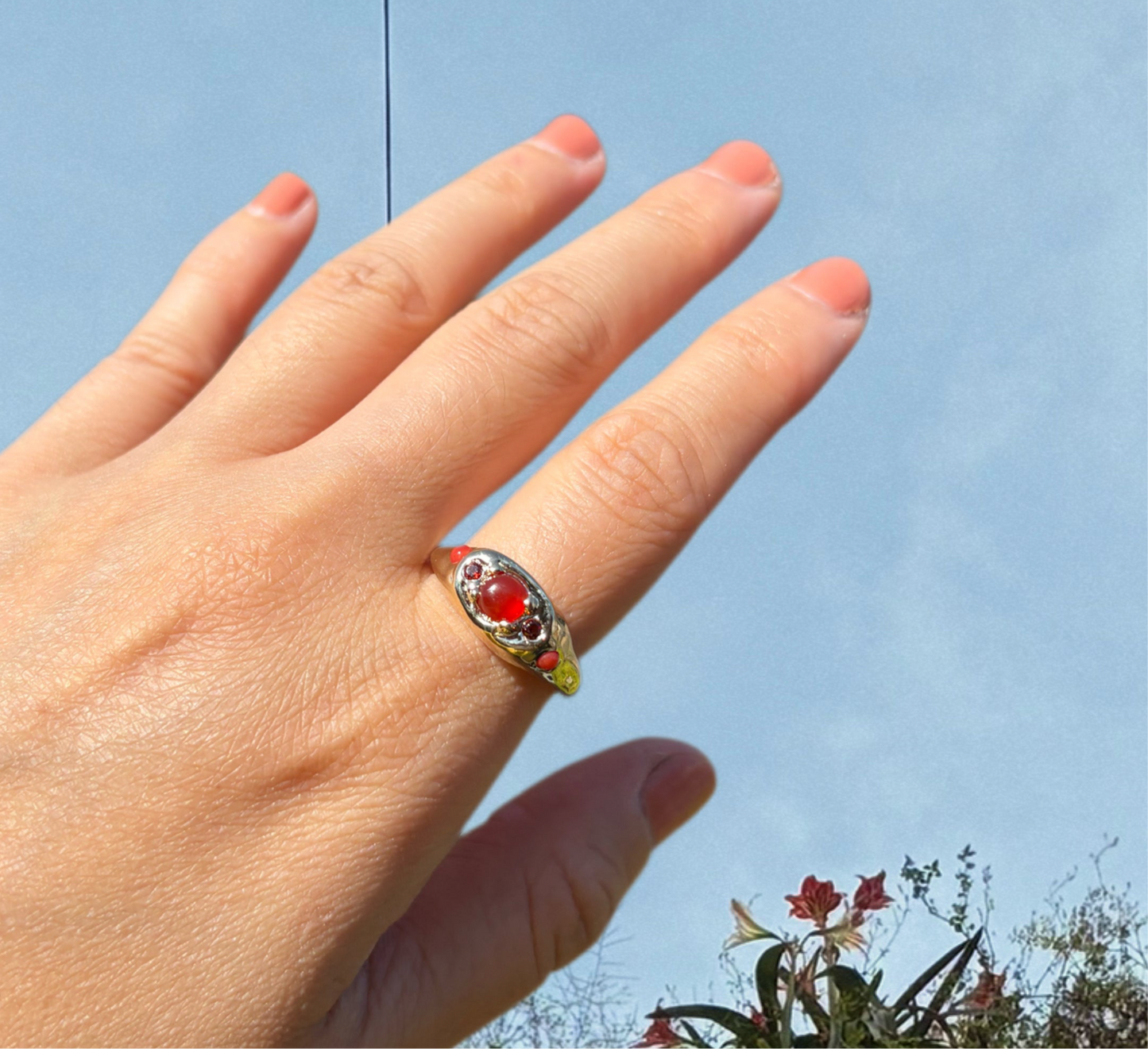 TOMATO SALAD RING