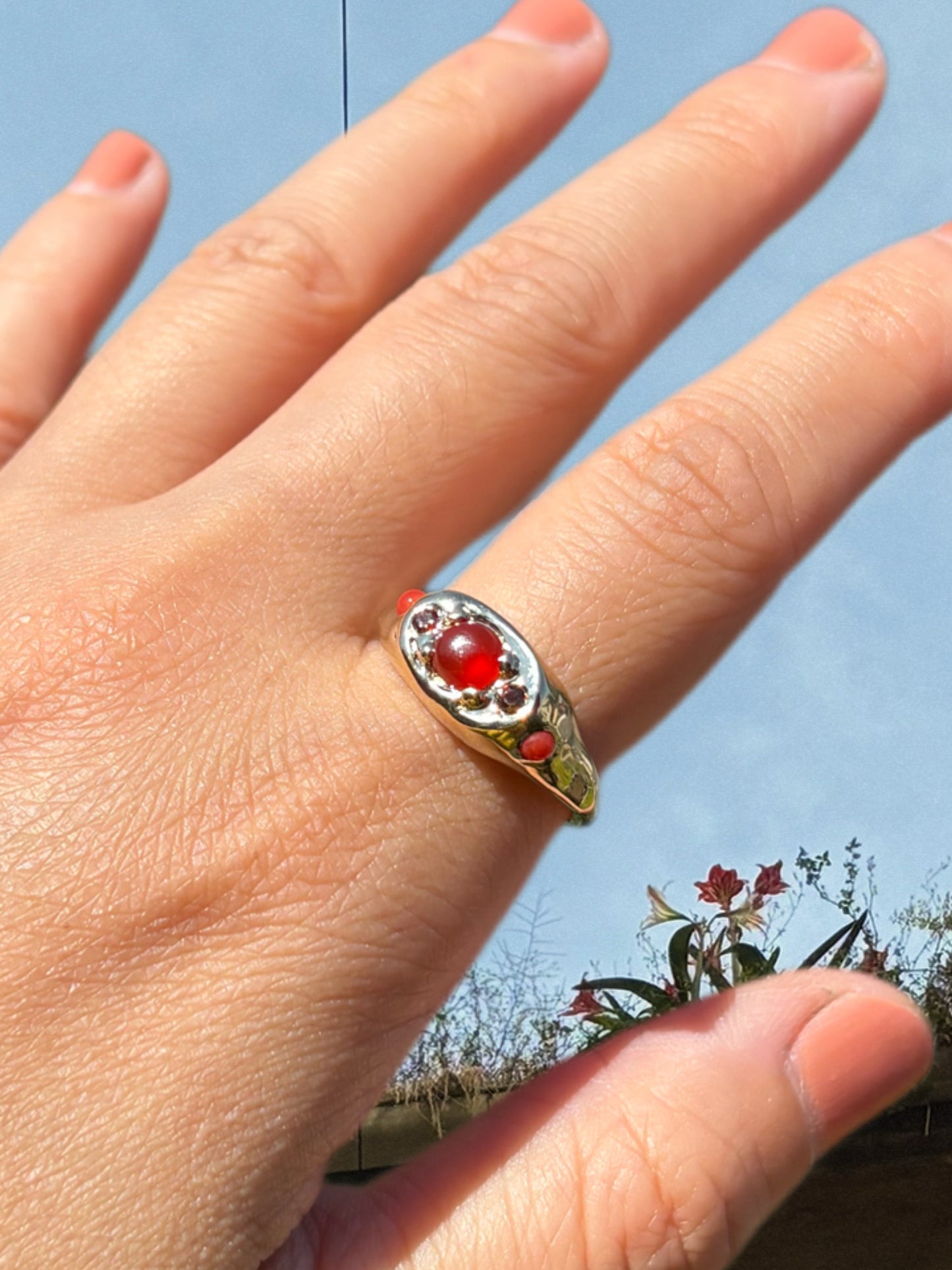 TOMATO SALAD RING