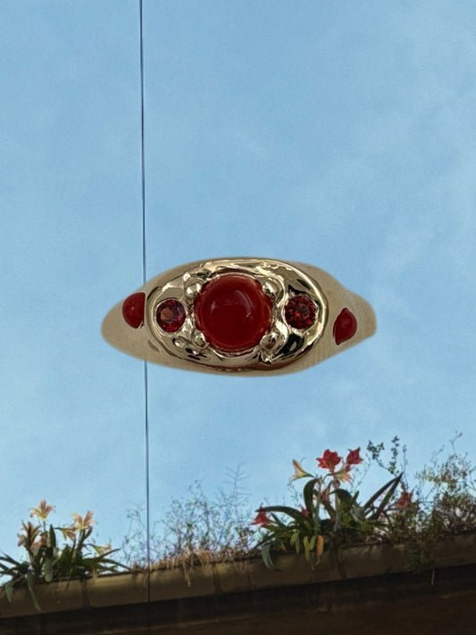 TOMATO SALAD RING